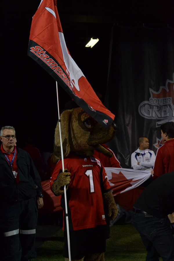 100th Grey Cup Toronto Argonauts - Calgary Stampeders